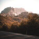 Mountain Landscapes - Breathtaking view of mountain peaks and forest a #15646345