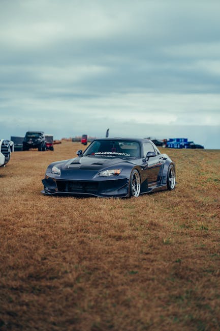 Luxury Cars - A modern sports car parked on a grassy field wit #36421083