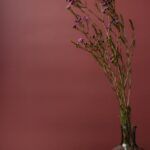 Flowers & Plants - Elegant minimalist arrangement with small pink f #6414007
